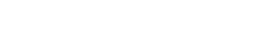 MindRise Labs